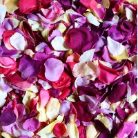 40 Cups Confetti Mix Freeze Dried Rose Petals